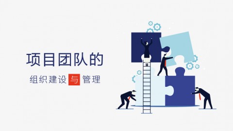 项目团队的组织 